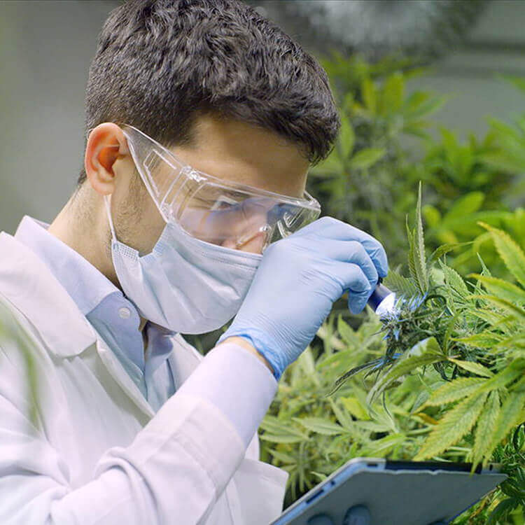 PHARMA SOLUTIONS