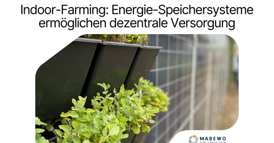 Nachhaltigkeit und KI