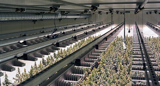 Indoor Pharma