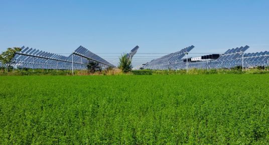Agrar Solutions Agri-Solar