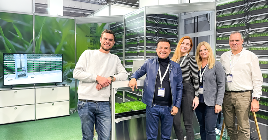 Nachhaltigkeit und KI